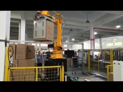 Het pelletiseren van robot voor zak en kartondoos
