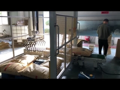 automatische het afvlakken en het palletiseren machine, lage palletizer